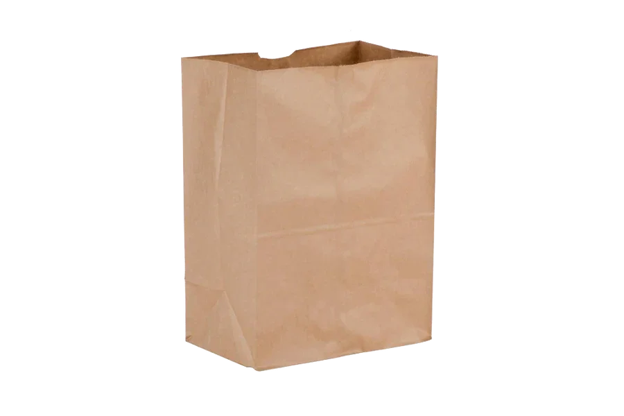 Kraft Paper Bags without handles, Brown, 500pcs, 5 LBS standing upright with plain recycled kraft paper design visible