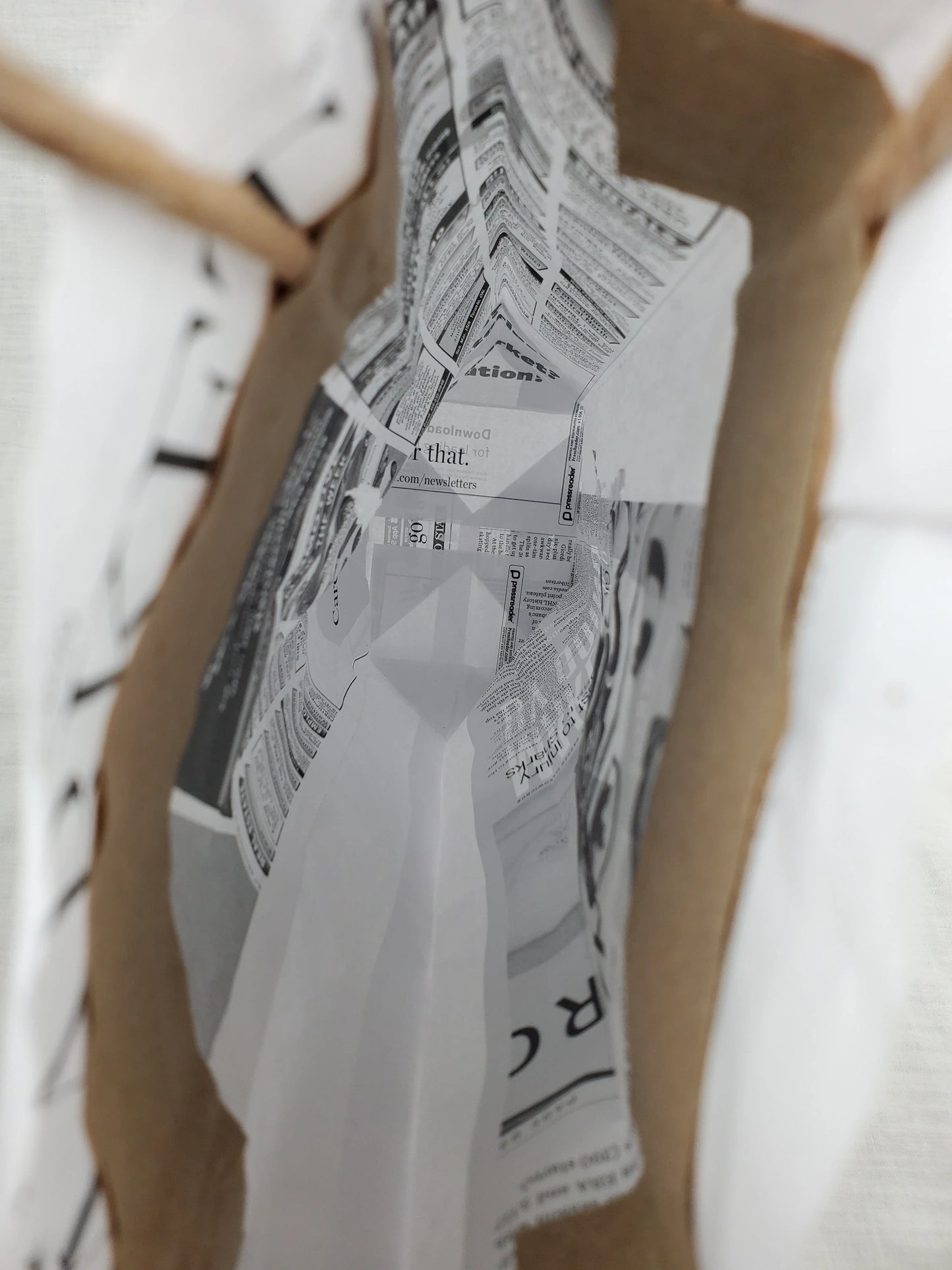 Eco-friendly recycled paper bag with newspaper packaging inside, Greenii sustainable packaging