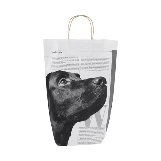 White News Paper Bags - Medium size