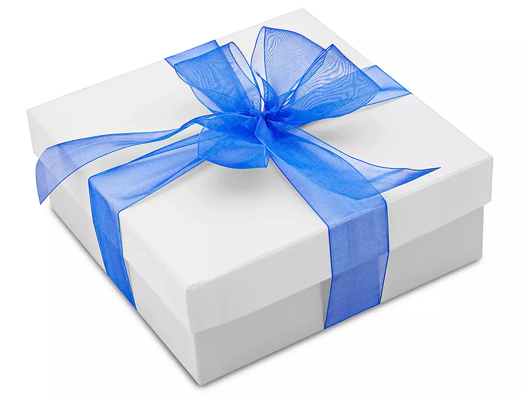 Plain Organza Ribbons — Sheer Gift Packaging Ribbon Wholesale for Crafts, Florists & Events