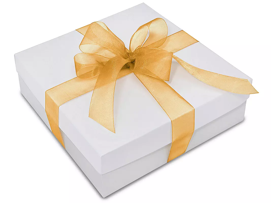 Plain Organza Ribbons — Sheer Gift Packaging Ribbon Wholesale for Crafts, Florists & Events