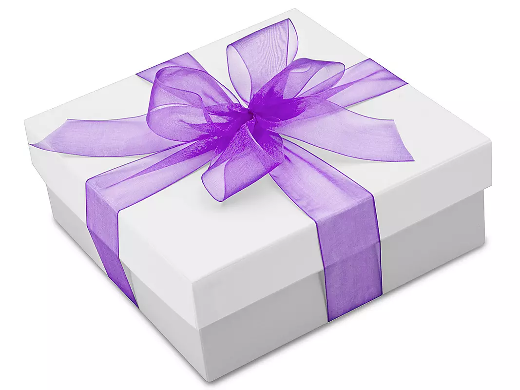 Plain Organza Ribbons — Sheer Gift Packaging Ribbon Wholesale for Crafts, Florists & Events