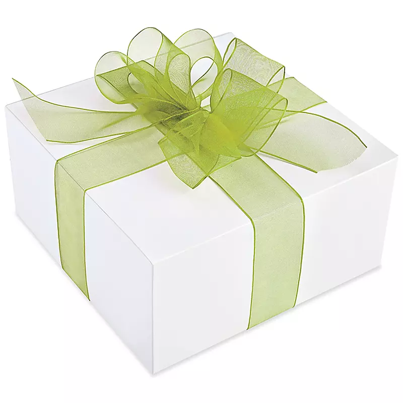 Wired Organza Ribbons — Sheer Gift Packaging Ribbon with Wire Edges | Wholesale for Florists, Crafts & Events
