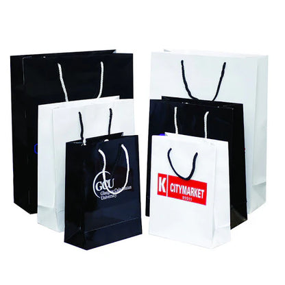 Custom Printed Laminated Paper Bags — Premium Retail Shopping Bags Wholesale