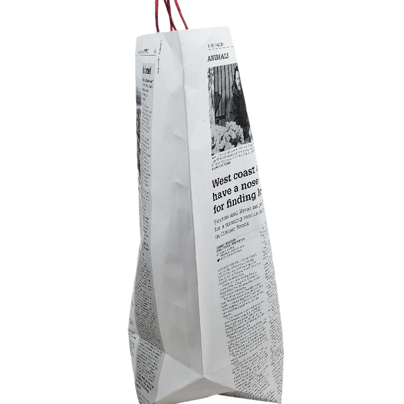 White News Paper Bags - Extra Large size (Wide Version)