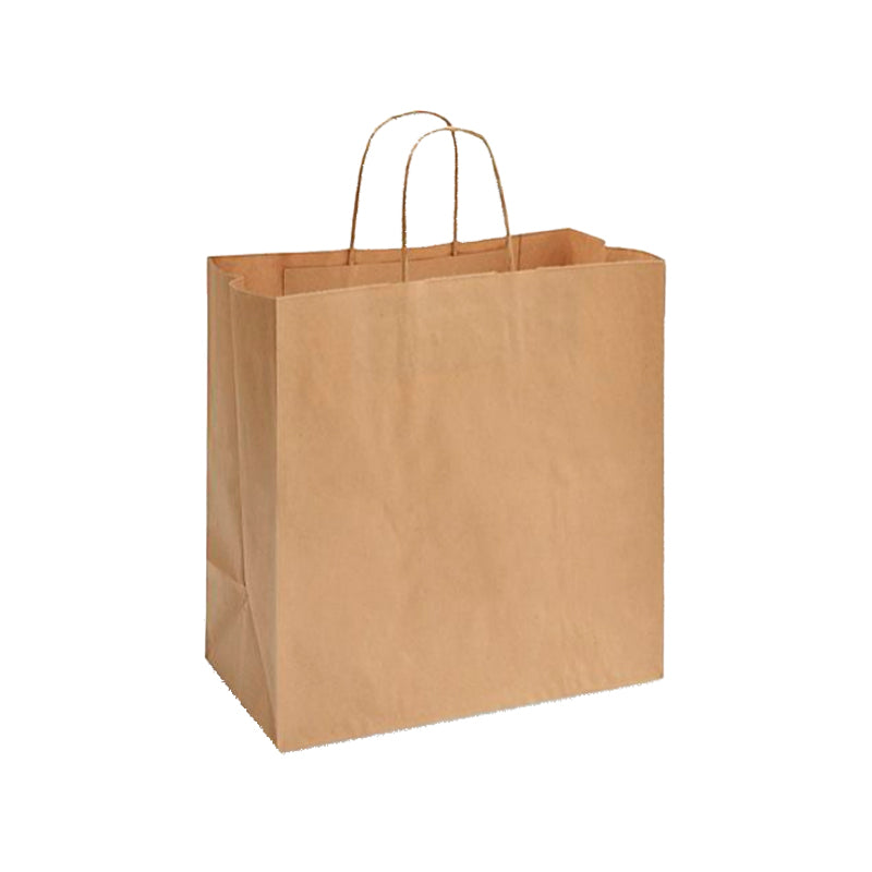 Kraft Paper Bags with handles, 10x5x13 inches