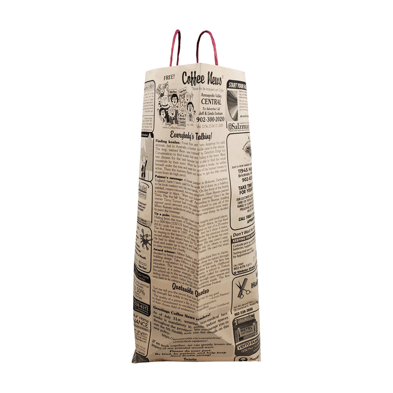 Large paper cheap bags for recycling