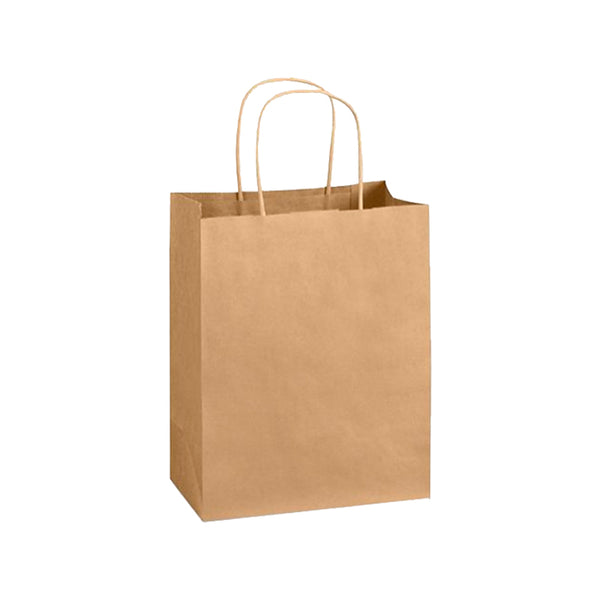 White Paper Bags with Handles - 8X4X10 Inch 50 Pack Small Kraft Shopping  Bags, C 